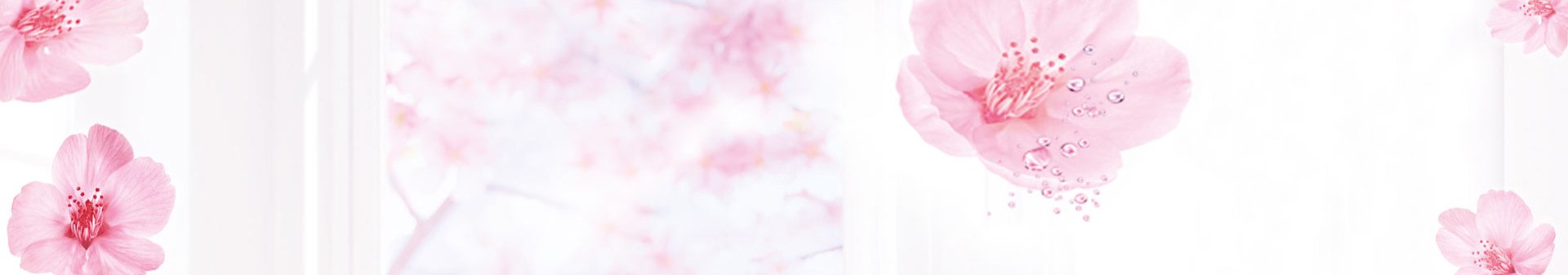 Bunga Sakura