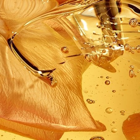 Homepage Argan 1_1