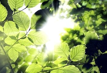 22 Kenali Garnier 04